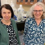 Feinstein Institutes lupus researchers recognized with top honors