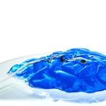 WISE Receives FDA Clearance for its WISE Cortical Strip Bringing Neuromonitoring to the Next Level